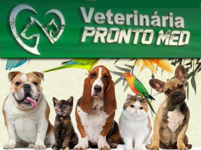 gallery/capaprontomed